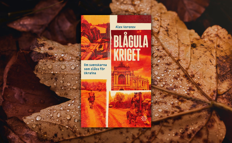 Christian Braw: Från det blågula kriget